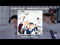 Stray Kids - Awkward Silence | Instrumental