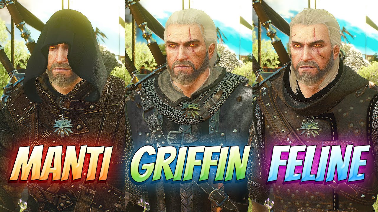 Swap Armour and Swords Appearances at The Witcher Nexus - mods and