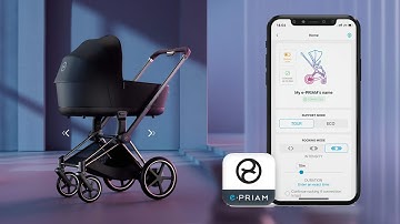 Cybex e-Priam в России!