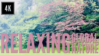 Gwynns Falls/Leakin Park, Gwynn Oak, Maryland