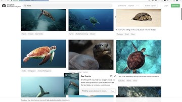 [UPDATE] Webscraping in Node.js
