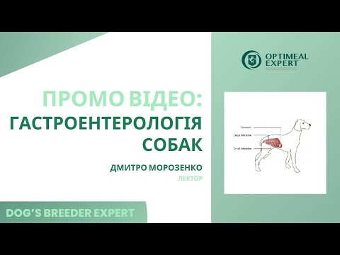 Промо відео: "Гастроентерологія собак для заводчиків." Лектор Дмитро Морозенко