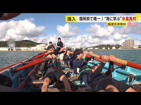 「福津市」を調査　海のスペシャリストを育成する高校　「国民健康保険」発祥の地　“光の道”の神社にはミニ動物園があった　【マイニチ出口調査】／ （2026/01/09  OA）