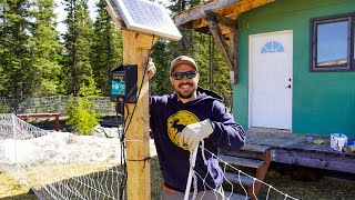 A Chicken Coop Built for Alaska | Finishing the Interior & Solar Electric Fencing