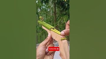 DIY Making Easy Bamboo Gun at Home #shorts #viralshorts #bamboo