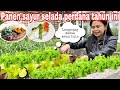 PANEN SAYUR SELADA PERDANA TAHUN INI || LANGSUNG MASAK MENU BULE SUPER MUDAH