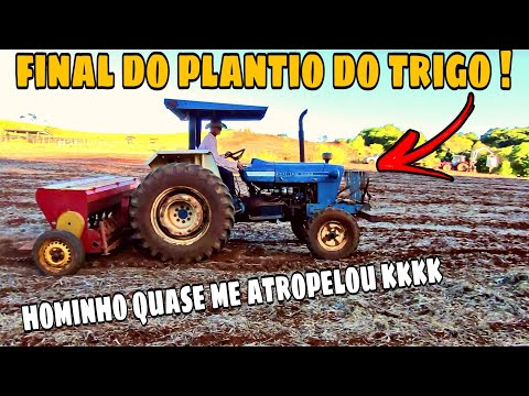 ÚLTIMO DIA DE PLANTIO DE TRIGO!