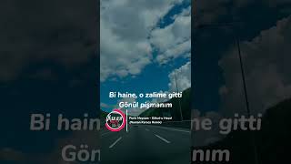 Puria Meysam - Sükut-u Hayal (Numan Karaca Remix)