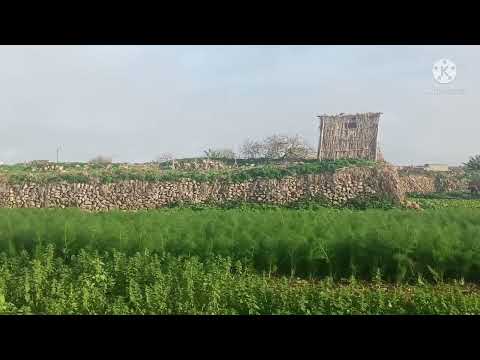 شاطئ دوار الغضبان بضواحي مدينة الجديدة 