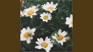 Be Alright - Madilyn Bailey