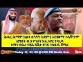 ሕዱር ሕማም ክልተ በካዓት ከደምቲ ኦሮሙማ ተሓቚኖም4 11 01 26