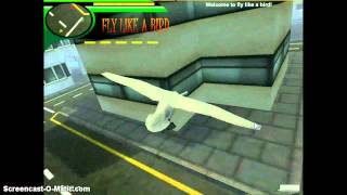 Fly like a bird 3 Birds YouTube