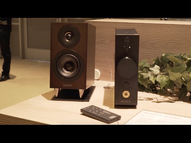 Sony CAS-1 hi-res audio system | CES 2016 | Crutchfield video
