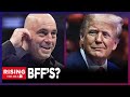 ROGAN and TRUMP BFFs??? Duo Spotted at UFC Match FIST BUMPING