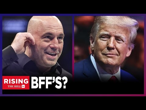 ROGAN and TRUMP BFFs??? Duo Spotted at UFC Match FIST BUMPING