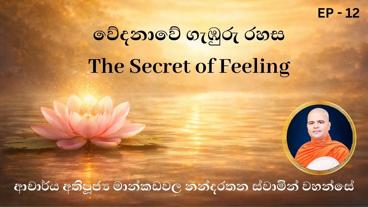 මනසිකාරය, ස්පර්ශය හා වේදනාව ගැන ඉතා දුර්ලභ ධර්ම විවරණයක්. | Attention, Contact & Feeling Explained