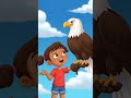 Bald Eagle fun facts