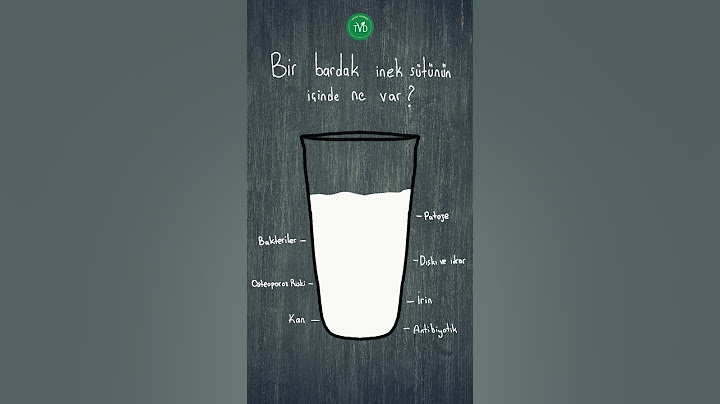 Bir Bardak İnek Sütünün İçinde Ne Var?