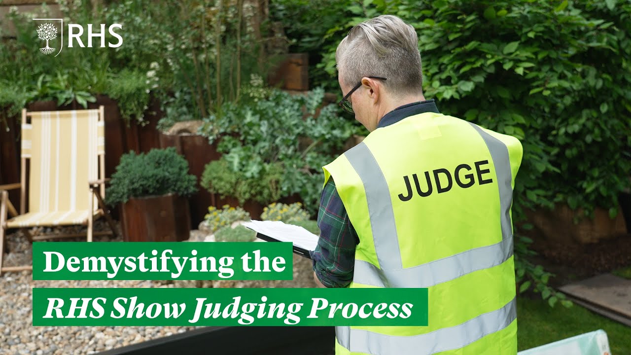 How Does The RHS Show Judging Process Work