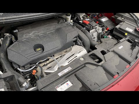 Video: Motor: Benzín Nebo Benzín?