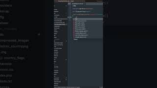 scrapping country flags for my countrypkg-laravel package