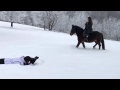 Čarobna priča porodice Bektić (FOTO, VIDEO)
