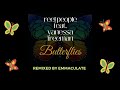 Reel People Feat Vanessa Freeman Butterflies Emmaculate Instrumental Remix mp3
