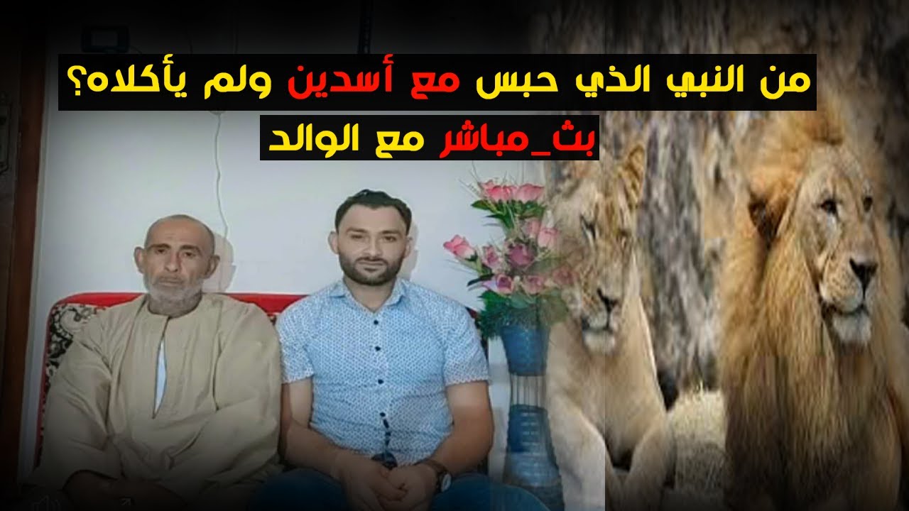 من النبي الذي حبس مع أسدين ولم يأكلاه؟ #بث_مباشر مع الوالد