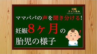 妊娠8ヶ月 Youtube