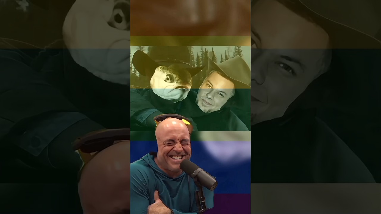 JOE ROGAN: THEO VON Says Fly Fishing Is GAY 😂🐟 🌈