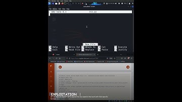 Manual Exploitation Practices  #cybersecurity #coding #pentester
