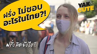 ฝรั่งที่อยู่ในไทย ‘ไม่ชอบ’ อะไรในไทยแลนด์? What expats ‘dislike’ about Thailand?