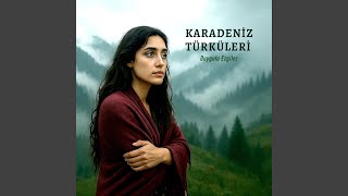 Çarşambayı Sel Aldı