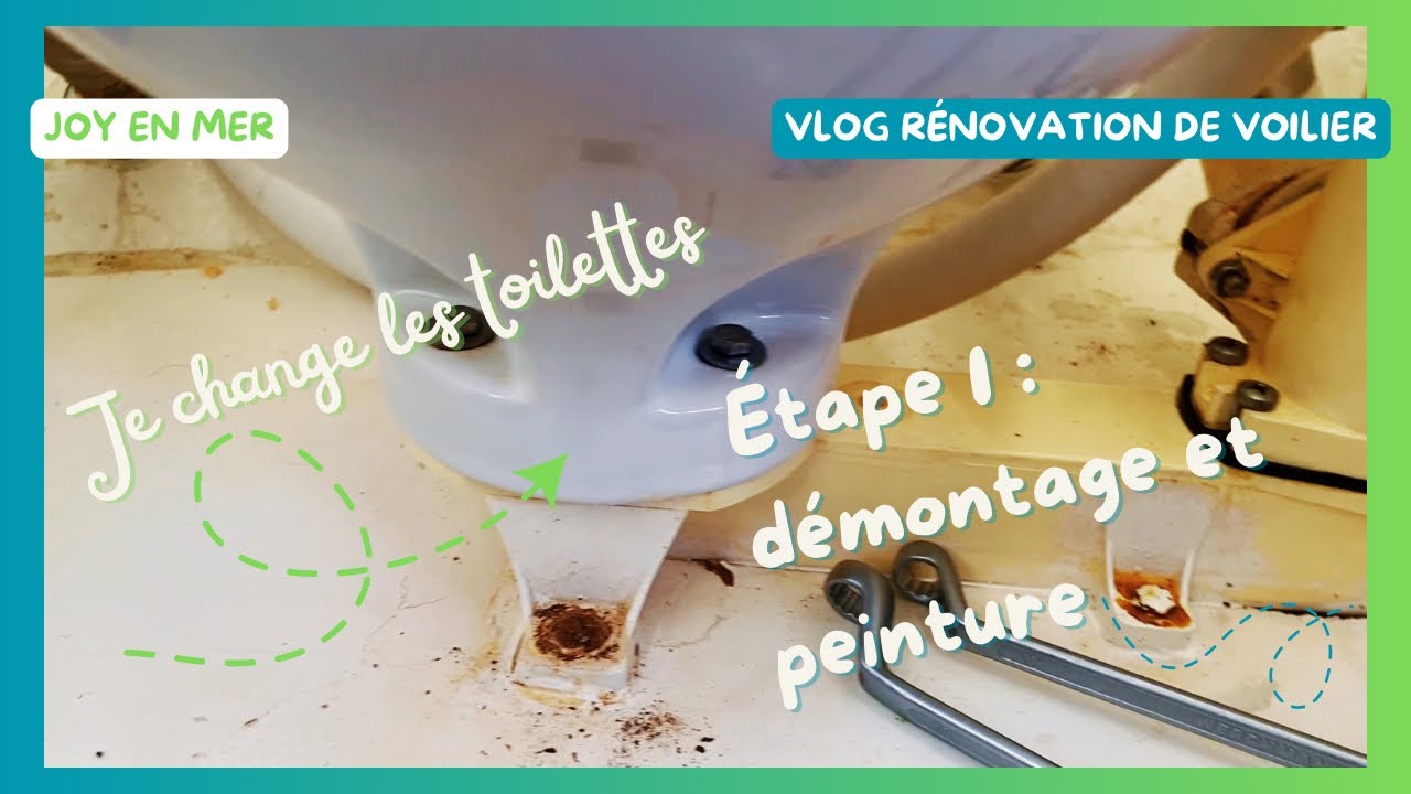 Changement des toilettes de bord, 1ère étape : démontage et peinture
