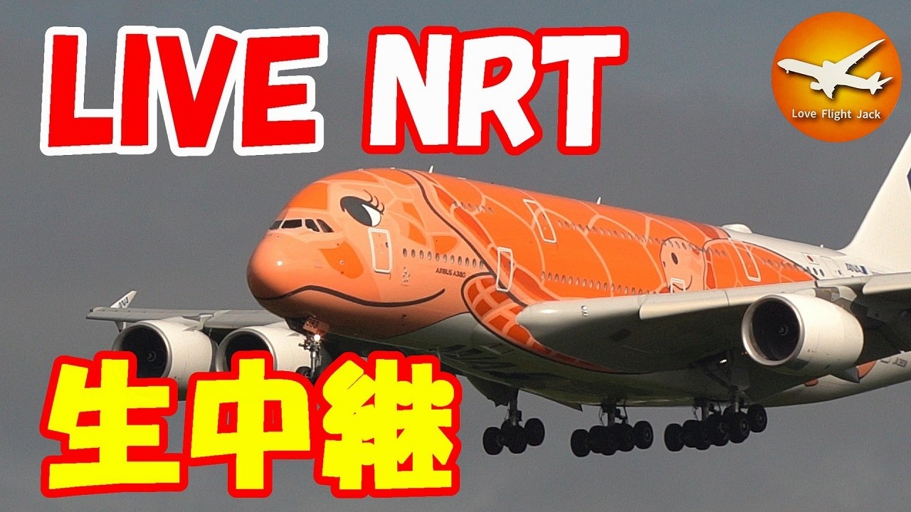 オリジナルプリント ヨコギアラオ 005_1 成田空港コンコース 2011年
