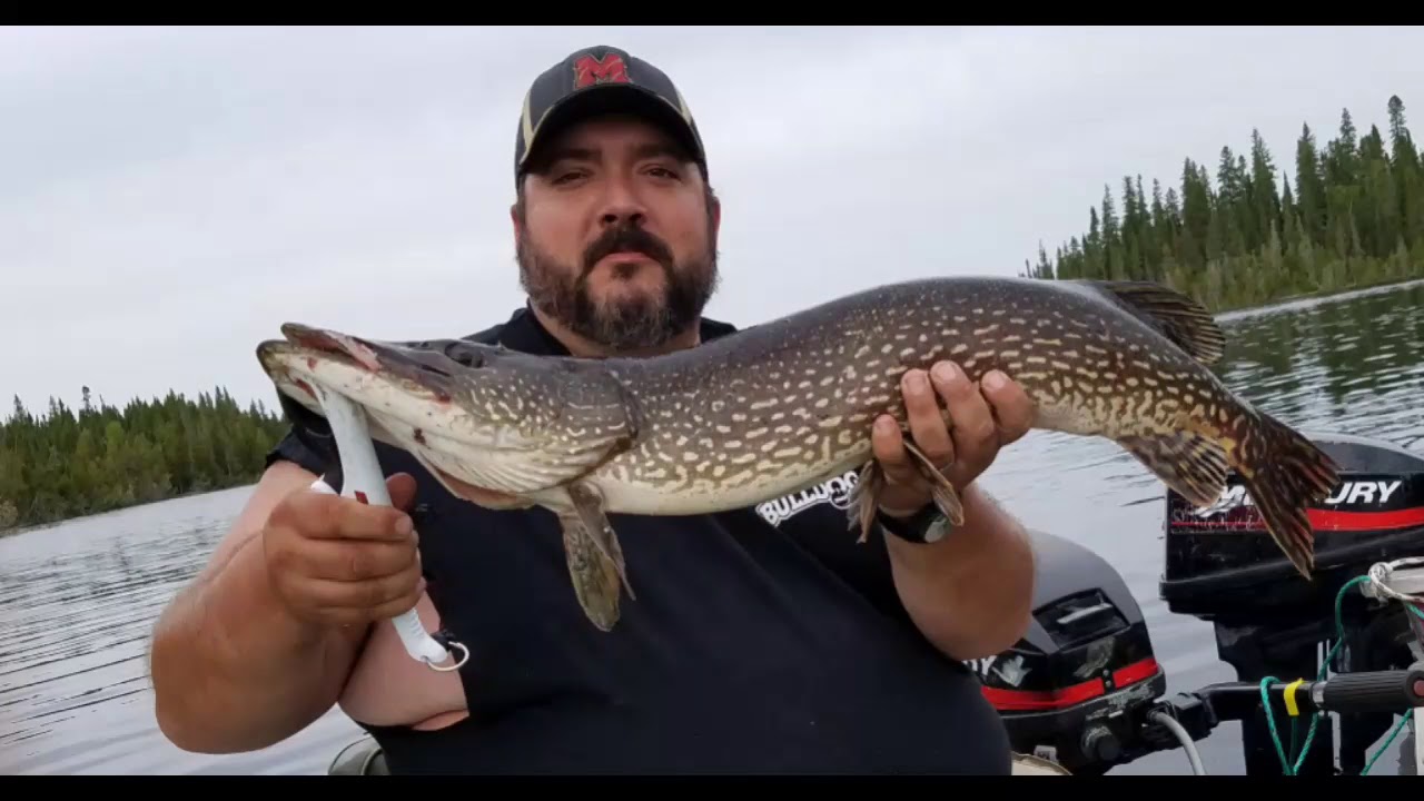 Nakina Flyin 2018 YouTube