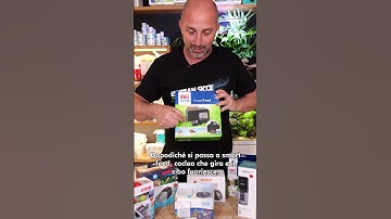 CIBO AUTOMATICO PER PESCI 🐟| Come automatizzare l’alimentazione dei pesci durante le vacanze