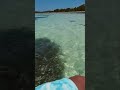 Stingray came to say hi while flyfishing 😁
