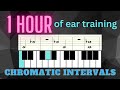 Interval ear training  1 hour of handsfree ear training exercises