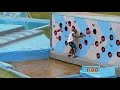 Total Wipeout - Series 4 Episode 9 (The Final: Champion of Champions)