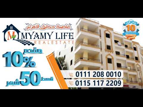  10  عرض 10 ميامي لايف