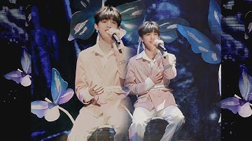 [Vietsub] Muốn Gặp Em 想见你 【Hiệu Ứng Cánh Bướm】 - TF家族三代 TF Gia Tộc Tam Đại