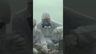 “Hậu quả môi trường: Không gian sống nào còn an toàn?”