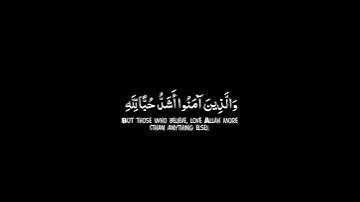 ومن الناس من يتخذ من دون الله أندادا يحبونهم كحب الله|سورة البقرة|القارئ محمد هشام شاشة سوداء قرآن