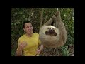 The jeff corwin experience  panama the land that time forgot