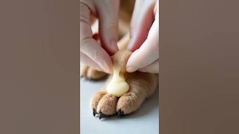 #3008  #mochipimplepopping #pimplepopper #visualasmr #mochicatspaw #nft  #satisfying #fyp