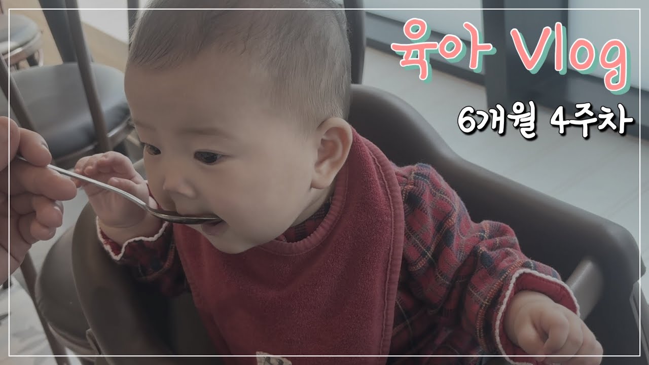 육아브이로그 | 6개월 4주차 | 인생 반년차의 먹방이랄까... 자기주장 강해지는 시기