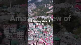 Amazing View of Shimla sanjeevanitravelsshimla shortsfeed shimla