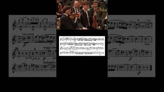Rimsky-Korsakov - Scheherezade, Horn 1 in F solo