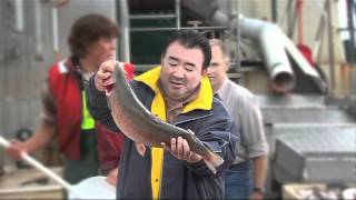 Tetsuya's Soft Smoked Ocean Trout (ENGLISH) screenshot 2